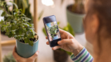 Best plant ID app deal