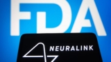 Elon Musk said Neuralink is ready for humans. Regulators disagree, deny application for human trials.