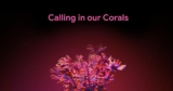 Google wants you to lend your ears to help save coral reefs