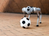 This robot dog can play soccer on grass, mud and sand